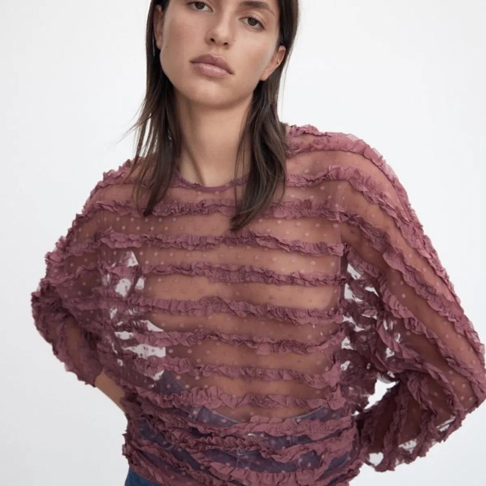 Zara tulle sheer ruffle blouse